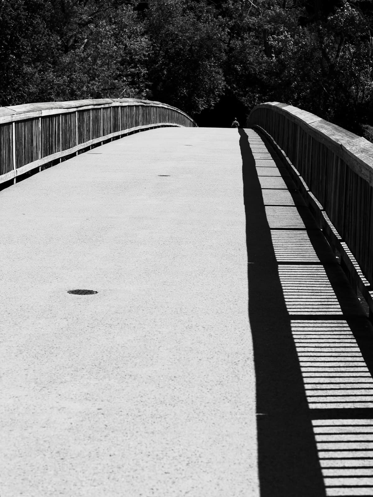 Real photography representing conditions & recovery on Wholeness Community Marketplace